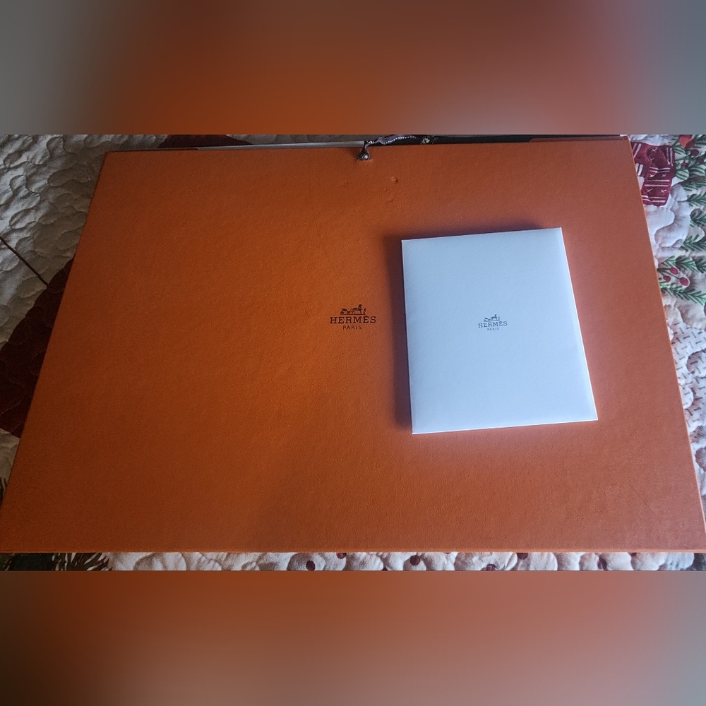 Hermes Disposable Placemats